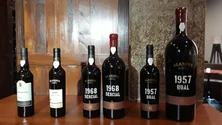 Madeira vai receber cerca de 2.000 vinhos de 29 países (áudio)