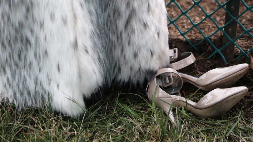 Imagem de Israel é o primeiro país a proibir o comércio de peles de animais para moda