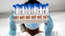 Imagem de Reino Unido reforça testes por causa de variante