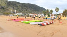 Imagem de Machico recebe competição de «Surfski Lifesaving»