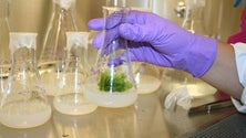 Imagem de Projeto MACBIOBLUE reconhecido pela União Europeia