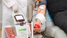 Imagem de Não há falta de sangue nos hospitais da Região (Vídeo)