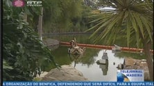Imagem de Parque Temático de Santana renova pavilhões (Vídeo)