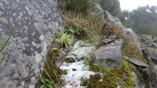 Imagem de Caiu granizo nas serras do Parque Ecológico
