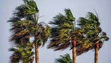 Imagem de Proteção Civil alerta para mau tempo na Madeira