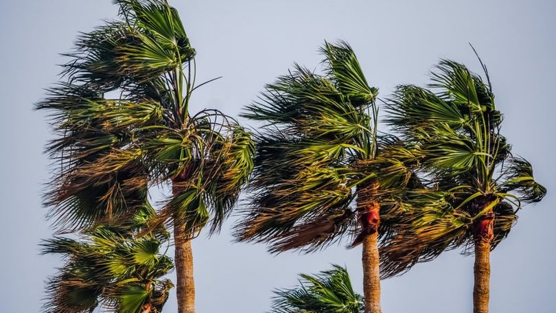 Imagem de Proteção Civil alerta para mau tempo na Madeira