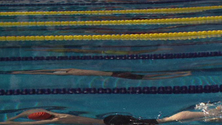 Imagem de Nadadores açorianos arrecadaram 10 medalhas no torneio Zonal Sul e Ilhas (Vídeo)