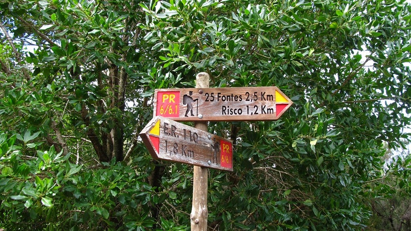 Imagem de Turista  morre na Levada das 25 Fontes