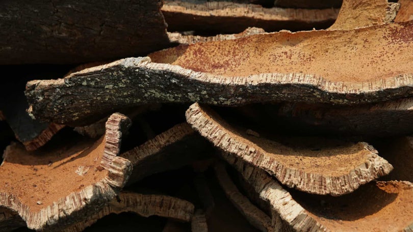 Imagem de Lancheira ecológica à base de cortiça