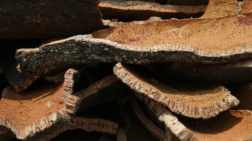 Lancheira ecológica à base de cortiça