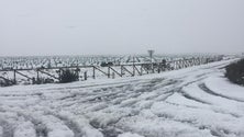 Imagem de Alerta para neve em estreia (vídeo)