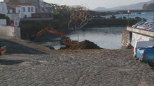 Imagem de Universidade dos Açores aponta soluções para o problema das algas no porto da Madalena (Vídeo)
