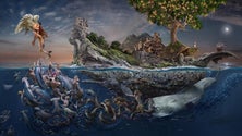 Imagem de Fotógrafos madeirenses premiados em concurso internacional