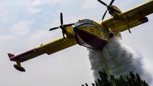 Grécia envia dois aviões pesados anfíbios para Portugal