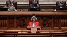 Imagem de Governo não prevê prolongar apoio para profissionais da Cultura