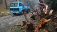 Imagem de Mau tempo deixa toneladas de resíduos de árvores pela ilha