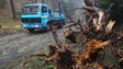 Mau tempo deixa toneladas de resíduos de árvores pela ilha