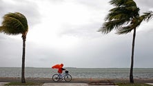 Imagem de Madeira sob aviso laranja devido ao vento