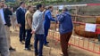 Imagem de Governo da Madeira cria novo apoio aos produtores (vídeo)