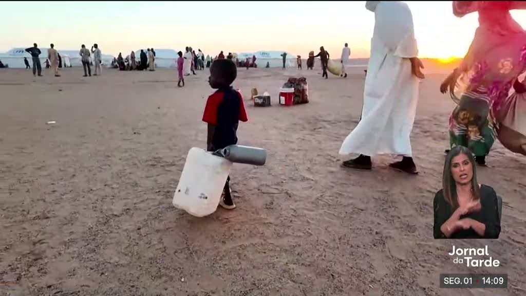 Alerta da UNICEF. Mais de 400 milhões de crianças vivem na pobreza