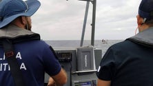 Imagem de Inspeção Regional das Pescas realizou cerca de 1100 fiscalizações este ano (Vídeo)
