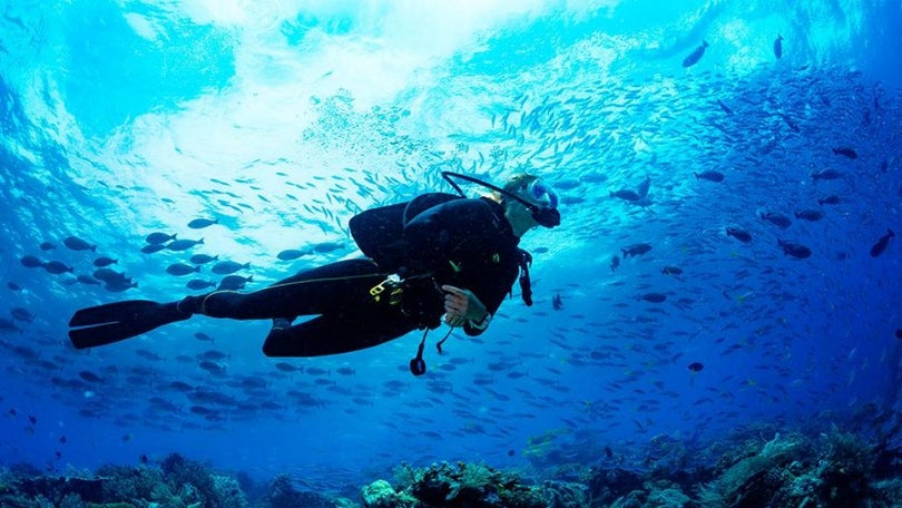 Imagem de Turismo subaquático