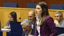 Imagem de PTP pede intervenção do governo no conflito laboral no porto do Caniçal