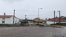 Imagem de Mau tempo: autarquias e governo mobilizaram meios para limpar estradas na Terceira  (Vídeo)
