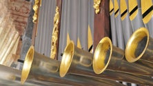 Imagem de Festival de Órgão da Madeira visa promover património organístico da região