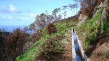 Imagem de Madeira investe na recuperação de levadas