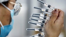 Imagem de Cientistas portugueses esclarecem dúvidas sobre vacinas