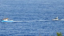 Imagem de Polícia Marítima da Horta apreendeu 700 kg de pescado (Vídeo)