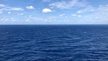 Imagem de Calor no Atlântico Norte pode por em perigo populações de peixes importantes para a pesca