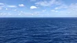 Imagem de Calor no Atlântico Norte pode por em perigo populações de peixes importantes para a pesca