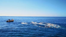 Imagem de Pedro Silva foi o mais rápido do Funchal Eco Swim