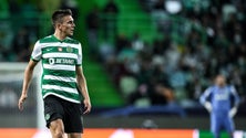 Imagem de Fulham de olho em Palhinha fecha estágio em Portugal