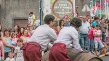 Imagem de Festa do Vinho Madeira arranca esta semana