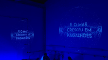 Imagem de Horta recebeu o Words under Water  (Vídeo)