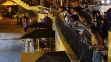 Imagem de Adeptos do FC Porto fazem a festa do título na Baixa do Funchal (Vídeo)