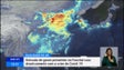 Imagem de Covid-19: Emissão de gases poluentes no Funchal caiu drasticamente (Vídeo)
