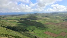 Imagem de Agricultores reconhecem virtudes na União Europeia (Vídeo)