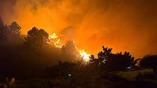Imagem de Reacendimentos noturnos levantam suspeitas de fogo posto (vídeo)