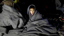 Imagem de Liliana Rodrigues questiona Europa sobre condições em que vivem os refugiados