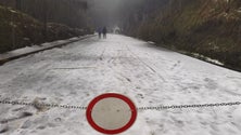 Imagem de Centenas subiram às serras (vídeo)