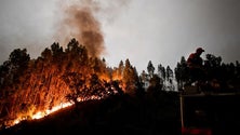 Imagem de Incêndios: Cinquenta meios aéreos contratados – Governo