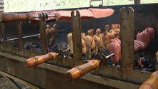 Imagem de Novo espaço da feira gastronómica da Semana do Mar agrada ao público (Vídeo)