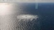 Imagem de Alemanha cautelosa sobre informações relacionadas com explosões nos gasodutos Nord Stream