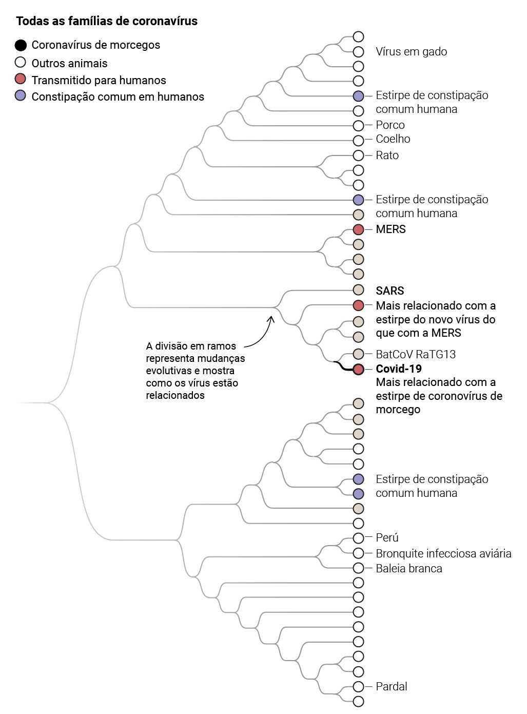 arvore genealógica arvore genealógica-sm