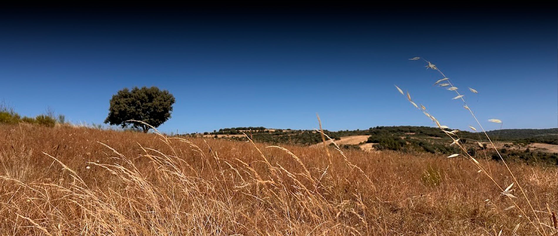 imagem zona Miranda do Douro