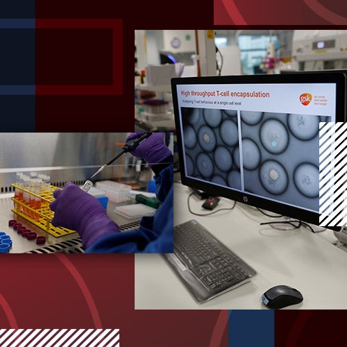 Perspetiva ci&ecirc;ncia/sa&uacute;de